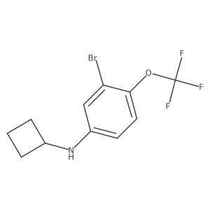 3-Bromo-N-cyclobutyl-4-(trifluoromethoxy)aniline Structure