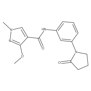 3-methoxy-1-methyl-N-(3-(2-oxopyrrolidin-1-yl)phenyl)-1H-pyrazole-4-carboxamide Structure