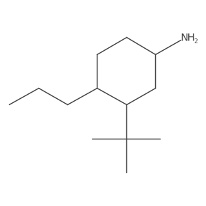 3-Tert-butyl-4-propylcyclohexan-1-amine结构式