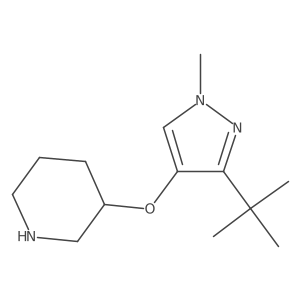 3-[(3-tert-butyl-1-methyl-1H-pyrazol-4-yl)oxy]piperidine Structure