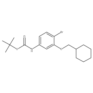 tert-butyl N-[4-bromo-3-(cyclohexylmethoxy)phenyl]carbamate结构式