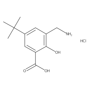 3-(Aminomethyl)-5-(tert-butyl)-2-hydroxybenzoic acid hydrochloride Structure
