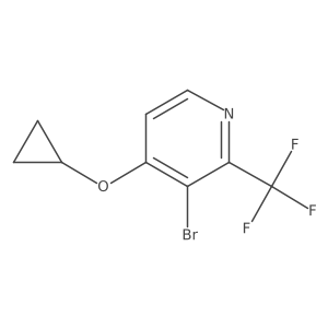 1243469-25-1 structure