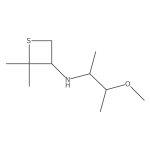 N-(3-Methoxybutan-2-yl)-2,2-dimethylthietan-3-amine结构式