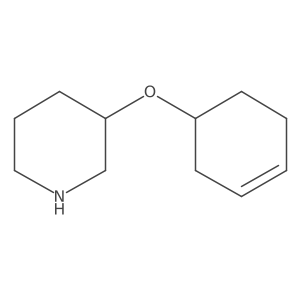 3-(Cyclohex-3-en-1-yloxy)piperidine结构式