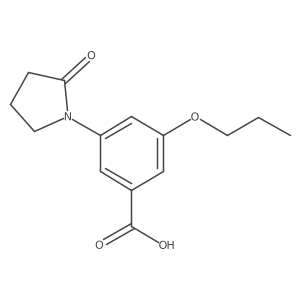 3-(2-Oxo-1-pyrrolidinyl)-5-propoxybenzoic acid Structure