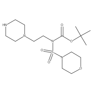 tert-butyl N-morpholinosulfonyl-N-(2-piperazin-1-ylethyl)carbamate结构式