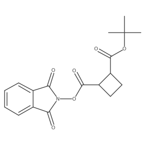 rac-1-tert-butyl 2-(1,3-dioxo-2,3-dihydro-1H-isoindol-2-yl) (1R,2R)-cyclobutane-1,2-dicarboxylate Structure