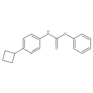 Phenyl (6-cyclobutylpyridin-3-yl)carbamate结构式