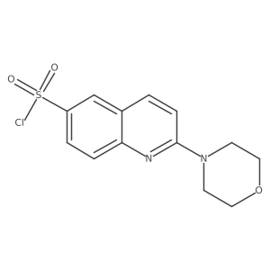 881005-41-0 structure