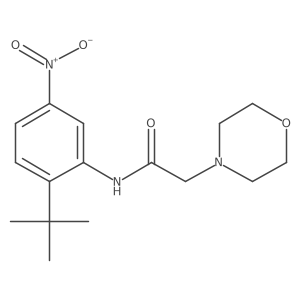 n-(2-Tert-butyl-5-nitro-phenyl)-2-morpholin-4-yl-acetamide结构式