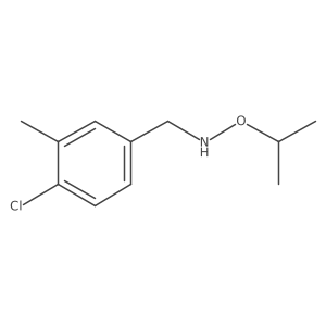 [(4-Chloro-3-methylphenyl)methyl](propan-2-yloxy)amine Structure