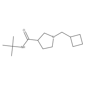 N-tert-butyl-1-(cyclobutylmethyl)pyrrolidine-3-carboxamide结构式