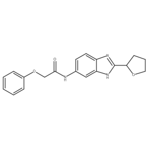 2-phenoxy-N-[2-(tetrahydrofuran-2-yl)-1H-benzimidazol-5-yl]acetamide Structure