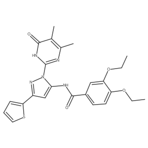 N-(1-(4,5-dimethyl-6-oxo-1,6-dihydropyrimidin-2-yl)-3-(thiophen-2-yl)-1H-pyrazol-5-yl)-3,4-diethoxybenzamide结构式