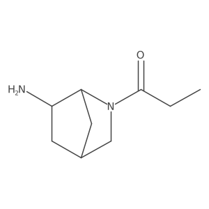 1-{6-Amino-2-azabicyclo[2.2.1]heptan-2-yl}propan-1-one Structure