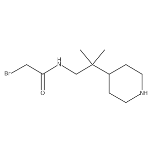 2-bromo-N-[2-methyl-2-(piperidin-4-yl)propyl]acetamide Structure