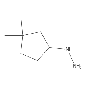 (3,3-Dimethylcyclopentyl)hydrazine Structure