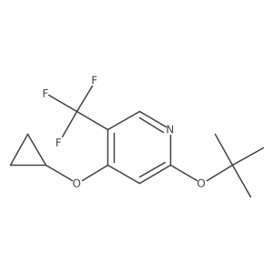 1243375-09-8 structure