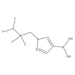 1-(2,2,3,3-Tetrafluoropropyl)pyrazole-4-boronic Acid结构式