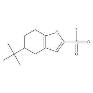 5-Tert-butyl-4,5,6,7-tetrahydro-1-benzothiophene-2-sulfonyl fluoride Structure