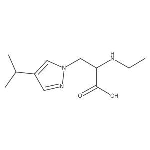 2-(ethylamino)-3-[4-(propan-2-yl)-1H-pyrazol-1-yl]propanoic acid结构式