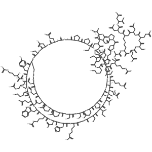 Neurotoxin c (Laticauda colubrina reduced) Structure