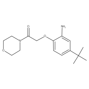 2-(N-Morpholinylcarbonyl)methoxy-5-tert-butylaniline Structure