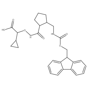 2172456-54-9 structure