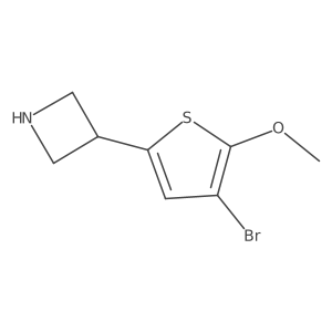3-(4-Bromo-5-methoxythiophen-2-yl)azetidine结构式