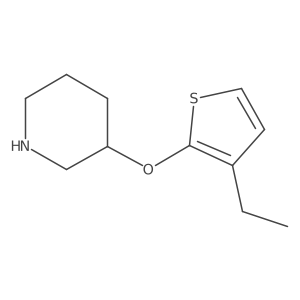 3-[(3-Ethylthiophen-2-yl)oxy]piperidine结构式