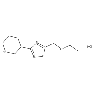 5-(Ethoxymethyl)-3-(piperidin-3-yl)-1,2,4-oxadiazole hydrochloride Structure