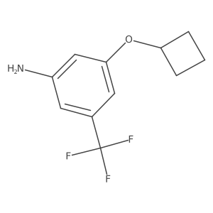 3-Cyclobutoxy-5-(trifluoromethyl)aniline Structure