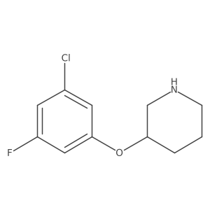 3-(3-Chloro-5-fluorophenoxy)piperidine Structure
