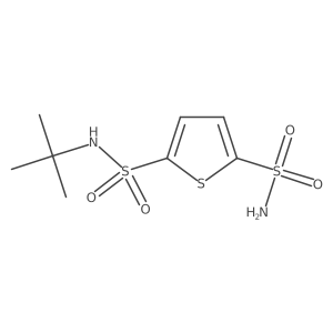 N-tert-Butyl-5-sulfamoylthiophene-2-sulfonamide Structure