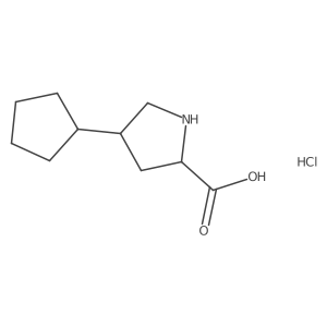 4-Cyclopentylpyrrolidine-2-carboxylic acid hydrochloride结构式
