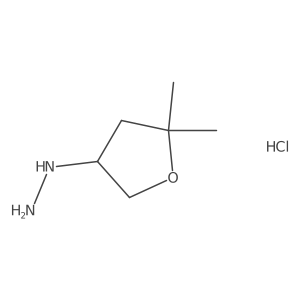 (5,5-Dimethyloxolan-3-yl)hydrazine hydrochloride Structure