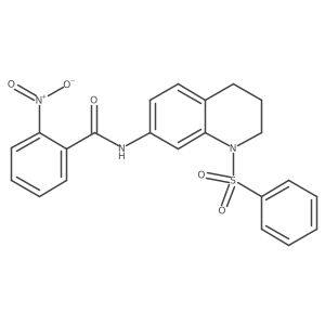 2-nitro-N-(1-(phenylsulfonyl)-1,2,3,4-tetrahydroquinolin-7-yl)benzamide Structure