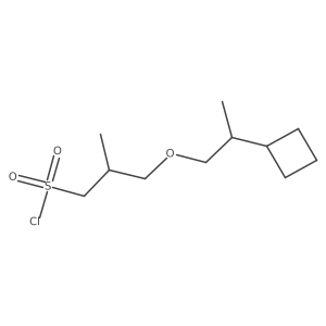 3-(2-Cyclobutylpropoxy)-2-methylpropane-1-sulfonyl chloride Structure