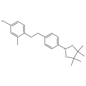 2246616-23-7结构式