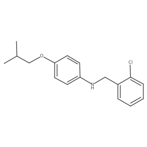 N-(2-Chlorobenzyl)-4-isobutoxyaniline Structure