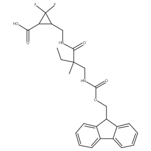 2172496-25-0 structure