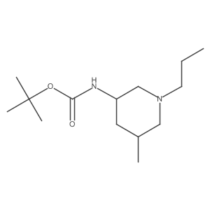tert-butyl N-(5-methyl-1-propylpiperidin-3-yl)carbamate Structure