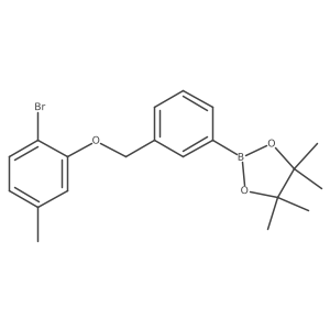 2-[3-[(2-Bromo-5-methyl-phenoxy)methyl]phenyl]-4,4,5,5-tetramethyl-1,3,2-dioxaborolane结构式