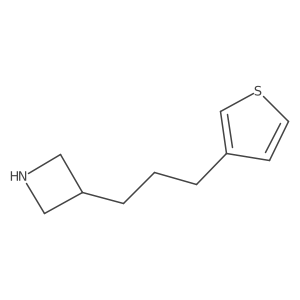 3-[3-(Thiophen-3-yl)propyl]azetidine结构式