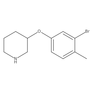 3-(3-Bromo-4-methylphenoxy)piperidine Structure