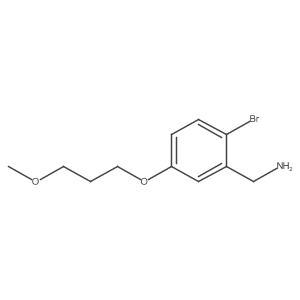 [2-Bromo-5-(3-methoxypropoxy)phenyl]methanamine Structure
