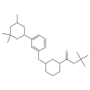 tert-Butyl 3-[3-(4,4,6-trimethyl-1,3,2-dioxaborinan-2-yl)phenoxy]piperidine-1-carboxylate Structure