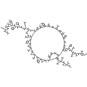 Napa-DP-insulin结构式