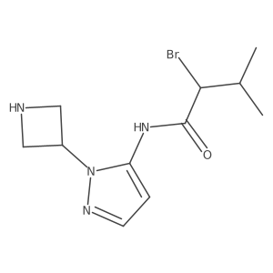 N-[1-(azetidin-3-yl)-1H-pyrazol-5-yl]-2-bromo-3-methylbutanamide Structure